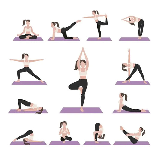 High Quality Workout/ Yoga Mat